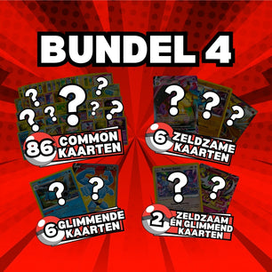100 POKÉMON Kaarten Bundel
