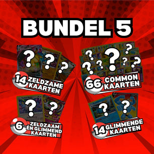 100 POKÉMON Kaarten Bundel