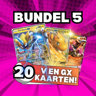 Zeldzame POKÉMON Kaarten Bundel